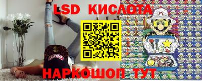 спиды Бердск