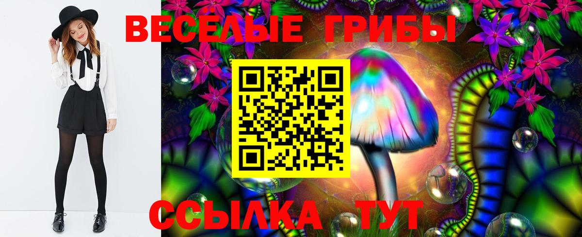 Галлюциногенные грибы GOLDEN TEACHER Гулькевичи